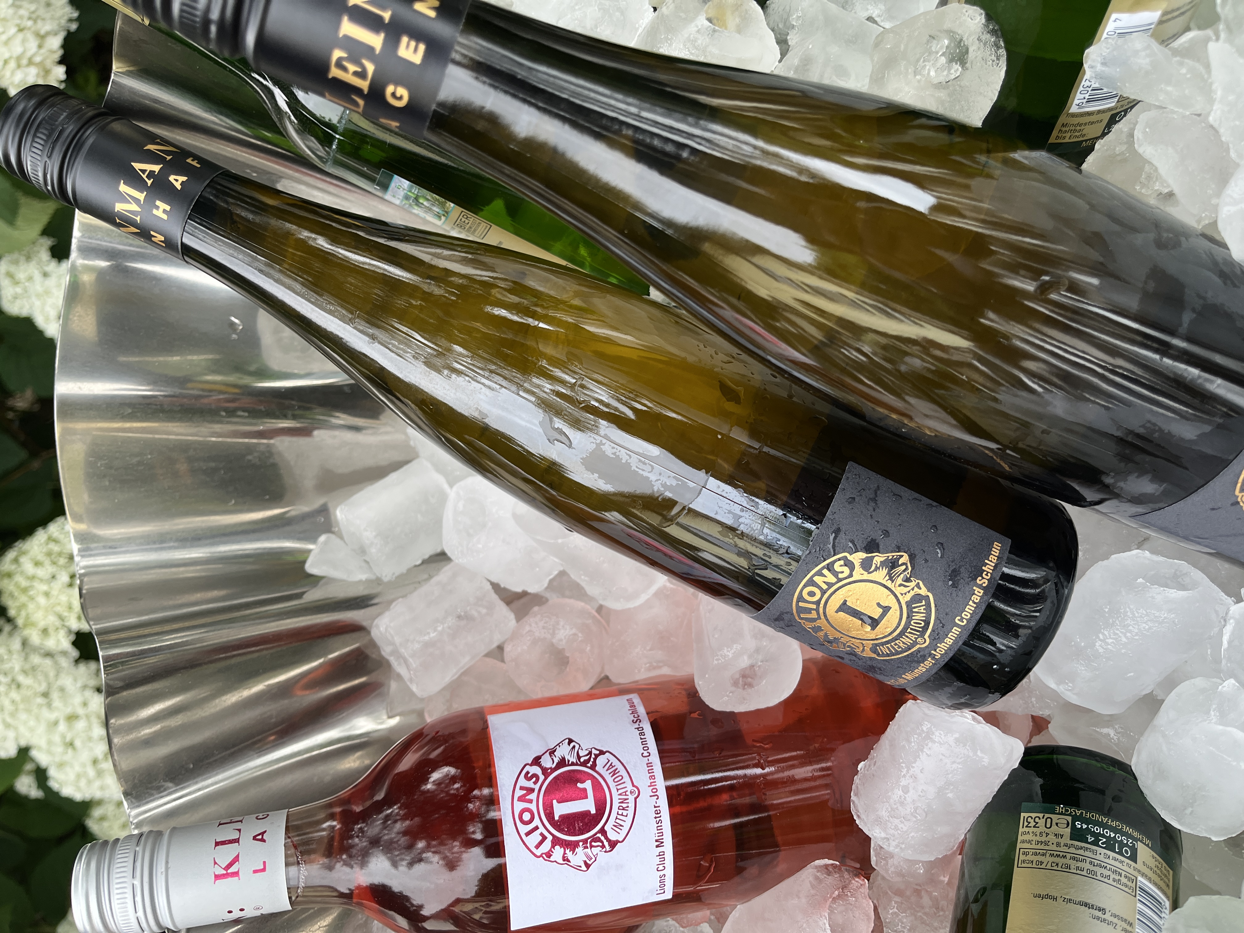 Wein 2019